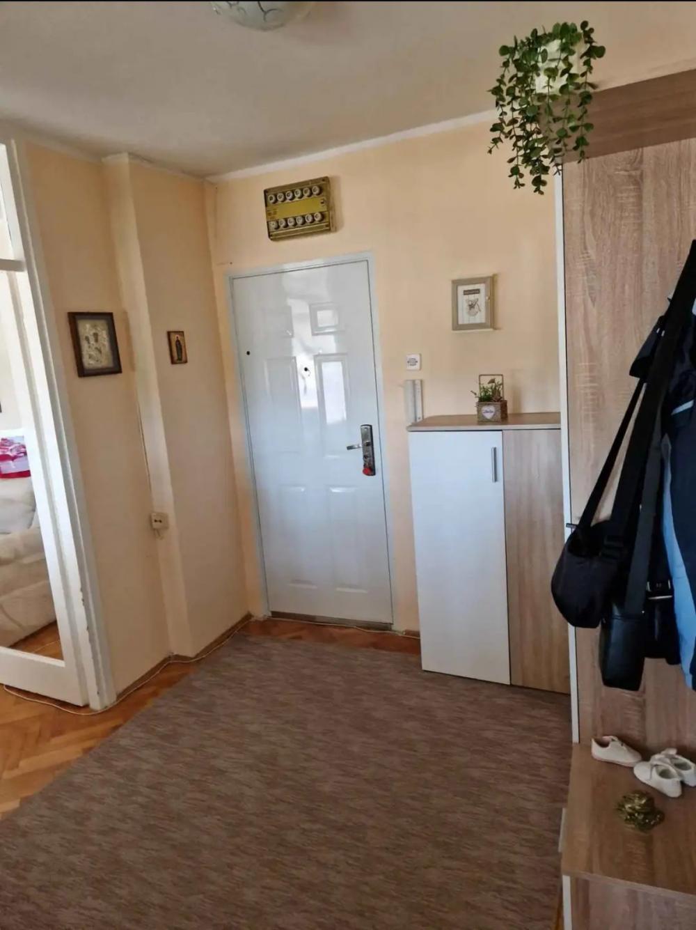 Slika 3 - Dvoiposoban stan na Bulevar blizu Delte