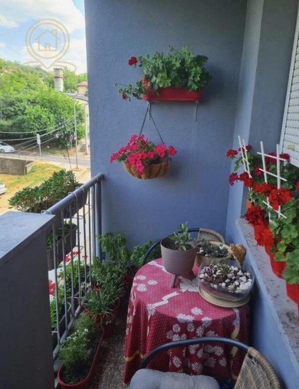 Slika 5 - Prodaja trosobnog stana sa dve terase – Palilula, Božidarčeva ulica